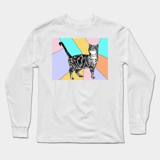 Tabby Cat Striped Cute Cats - Pastel Rainbow Long Sleeve T-Shirt